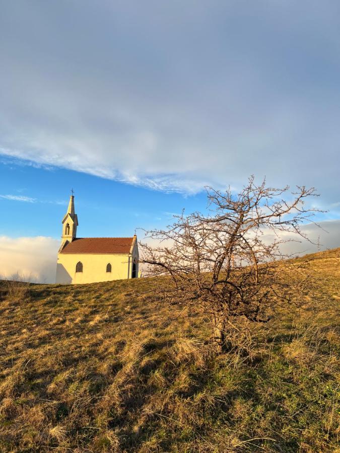 Haus Karner Villa Neusiedl am See Dış mekan fotoğraf